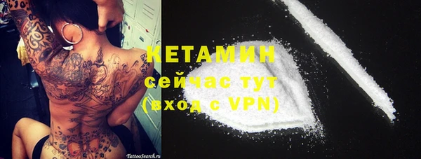 индика Богданович