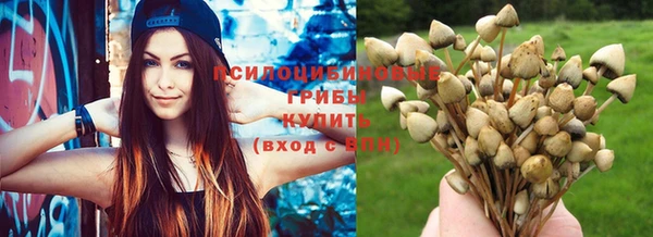 бутират Бородино
