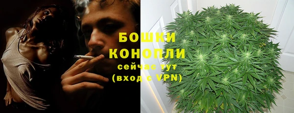эйфоретик Верея